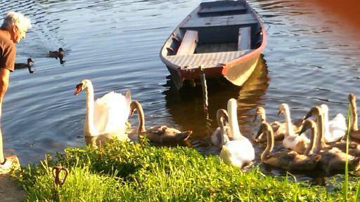 Des Pêcheurs